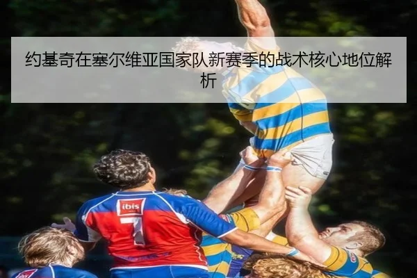 约基奇在塞尔维亚国家队新赛季的战术核心地位解析