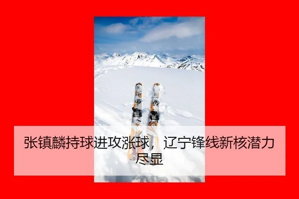 张镇麟持球进攻涨球，辽宁锋线新核潜力尽显