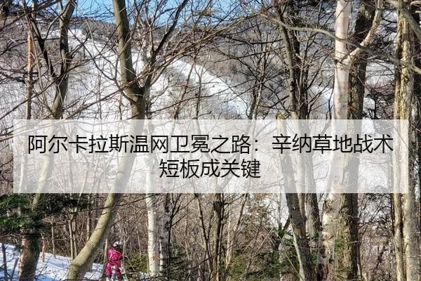 a-er-ka-la-si-wen-wang-wei-mian-zhi-lu-xin-na-cao-di-zhan-shu-duan-ban-cheng-guan-jian-2-304.jpg