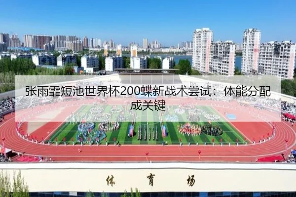 张雨霏短池世界杯200蝶新战术尝试：体能分配成关键