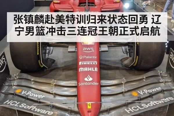 张镇麟赴美特训归来状态回勇 辽宁男篮冲击三连冠王朝正式启航