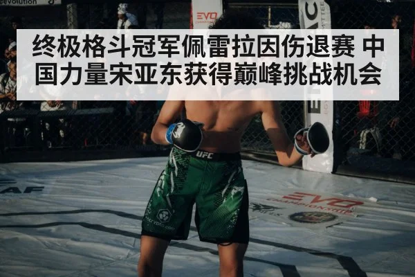 终极格斗冠军佩雷拉因伤退赛 中国力量宋亚东获得巅峰挑战机会